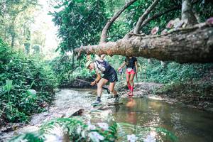 BIB: 
                            <button type="button" onclick="openModal(25436201)" class="btn btn-primary btn-sm float-right btn-popup" data-toggle="modal" data-target=".modal-high-quality">
                        <i class="fas fa-shopping-cart"></i> Add to Cart
                    </button>
                                            <button type="button" onclick="isThisMe(25436201, true)" class="btn btn-success btn-sm float-right btn-popup btn-isme hidden" data-toggle="tooltip" data-placement="bottom" title="นี่คือรูปของคุณใช่ไหม คลิกที่นี่เพื่อเอาเข้าอัลบั้ม">
                        <i class="fas fa-plus"></i> Add to album
                    </button>
                    <button type="button" onclick="isThisMe(25436201, false)" class="btn btn-warning btn-sm float-right btn-popup btn-isnotme hidden">
                        <i class="fas fa-ban"></i> Remove from album
                    </button>